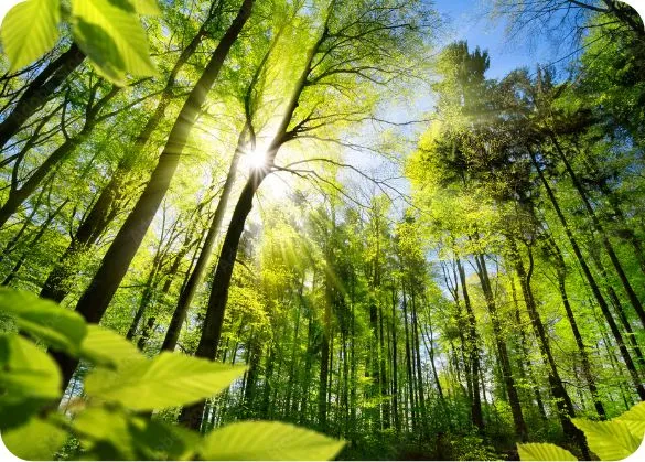 環境負荷の軽減